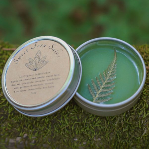 Sweet Fern Salve nestled in the moss. This deep green potion can be used in elven healing.